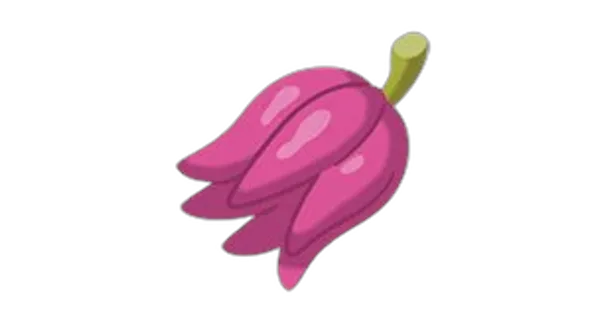 カシブのみの画像