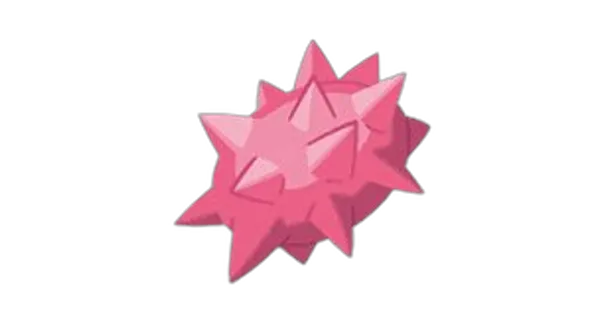 ナモのみの画像