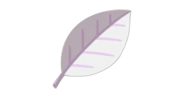 しろいハーブの画像