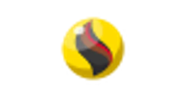 ライチュウナイトＸの画像