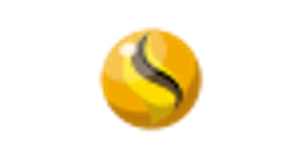 ライチュウナイトＹの画像