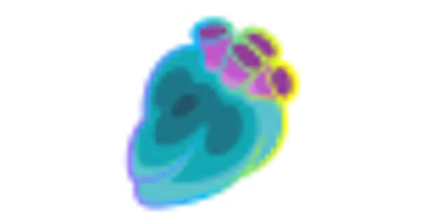 いじげんキーのみの画像