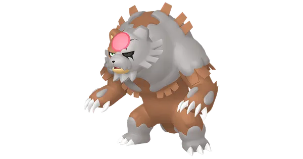 ガチグマの画像