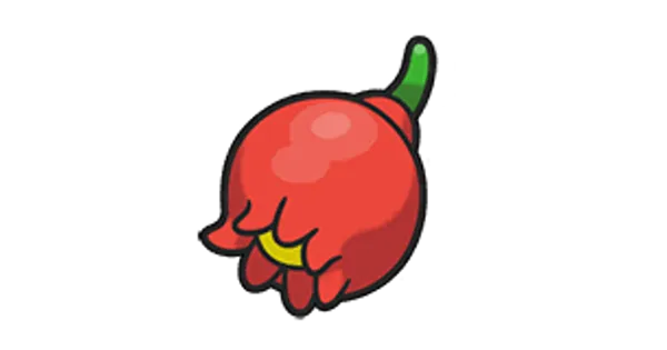 ザロクのみの画像