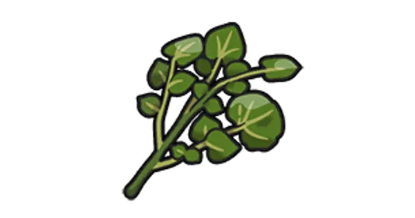 ひでん:にがスパイスの画像