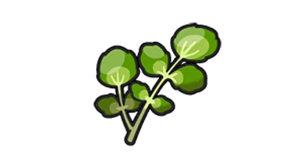 クレソンの画像