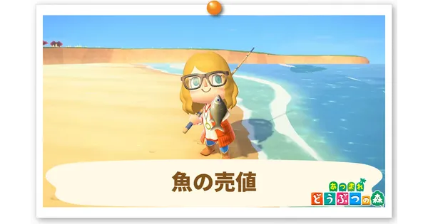 魚 値段ランキングの画像