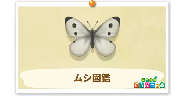 ムシ図鑑の画像
