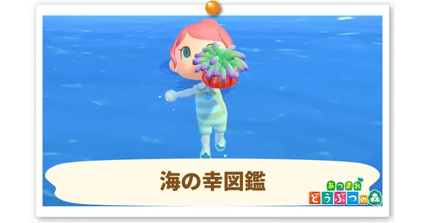 海の幸図鑑の画像