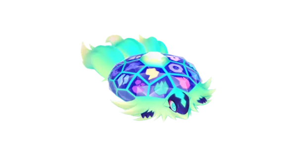 テラパゴスの画像