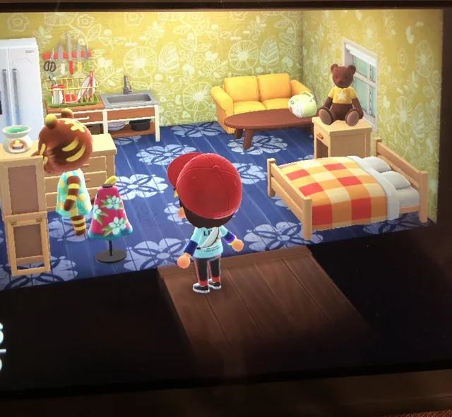 ルーズの部屋の画像