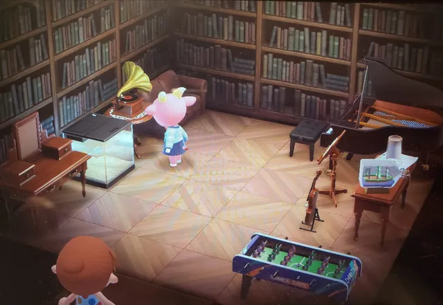 ピティエの部屋の画像